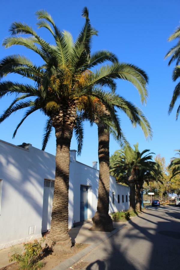 Lo Segador Vendégház El Poble Nou del Delta Kültér fotó