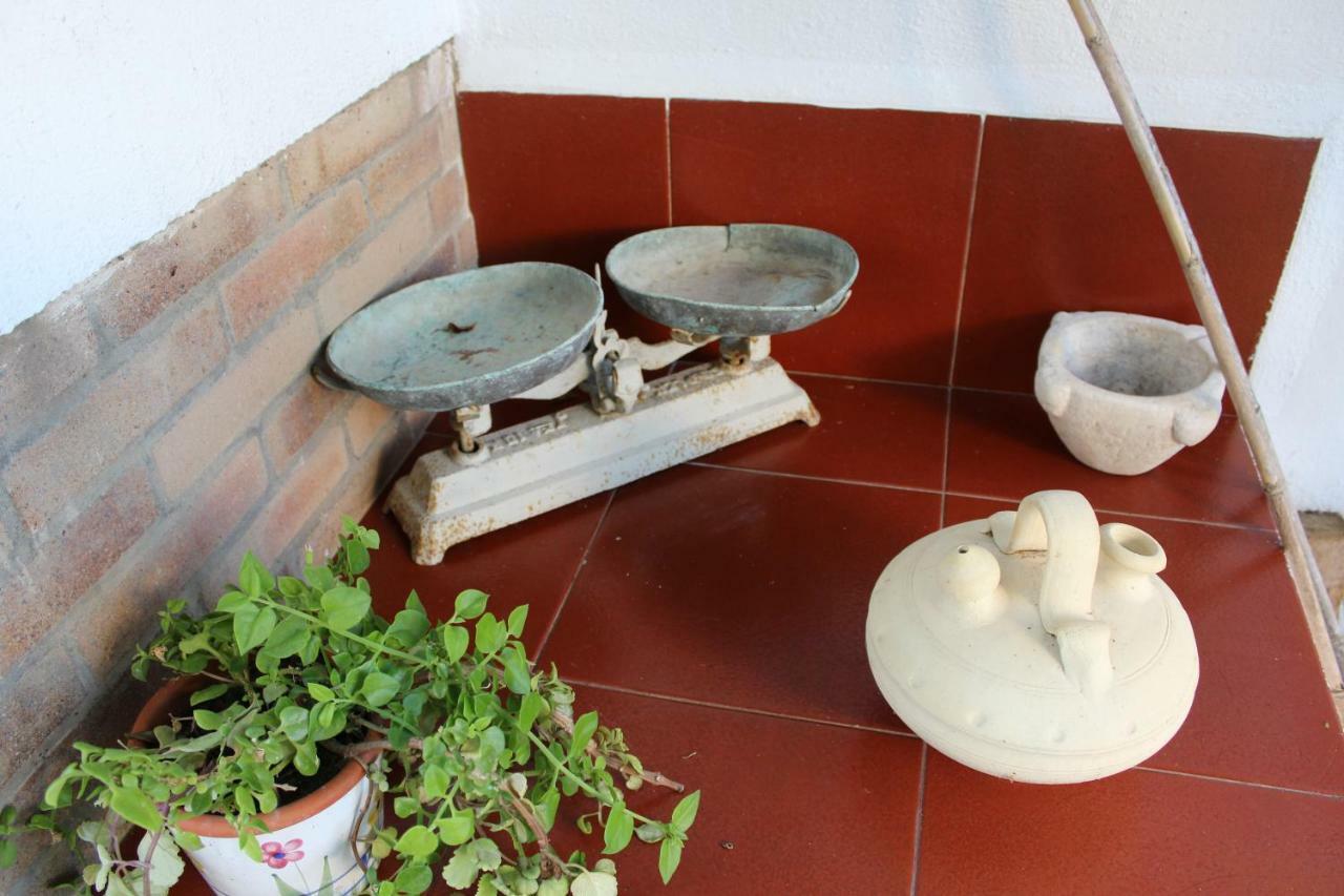 Lo Segador Vendégház El Poble Nou del Delta Kültér fotó