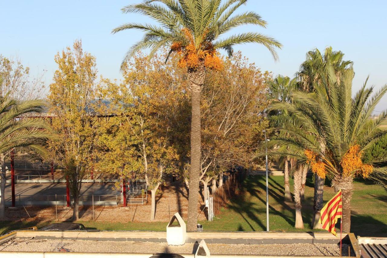 Lo Segador Vendégház El Poble Nou del Delta Kültér fotó